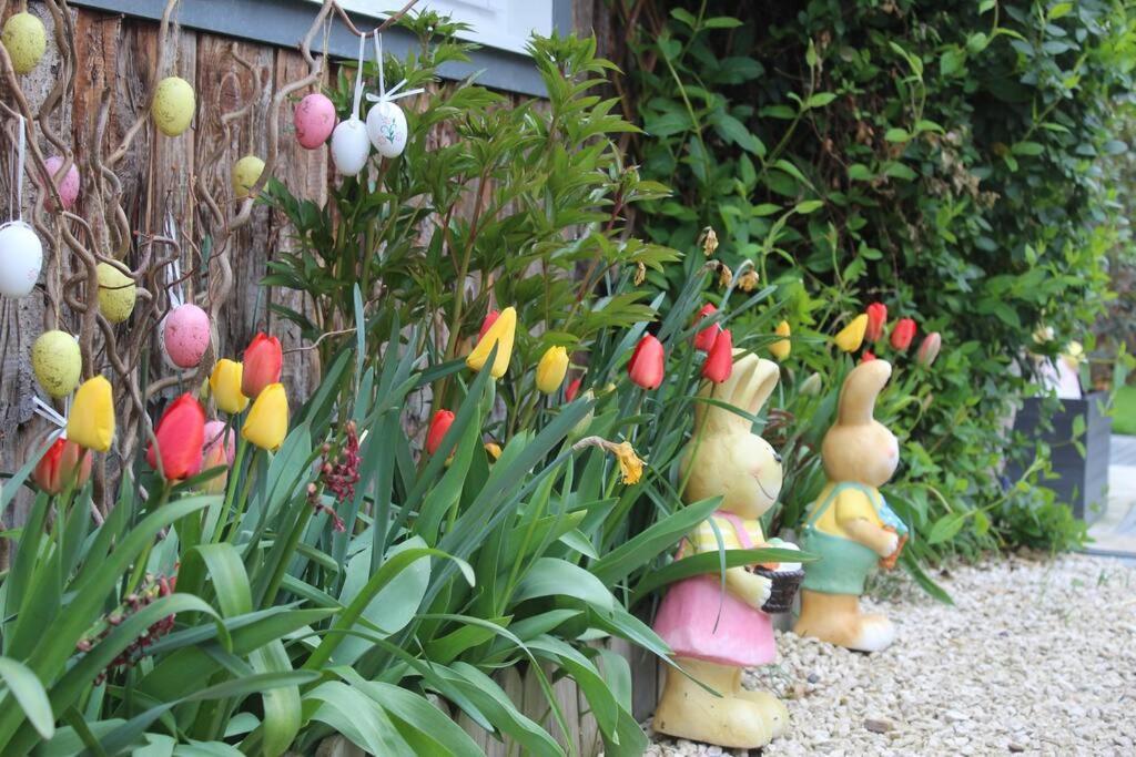 Maisonnette Bindernheim 外观 照片